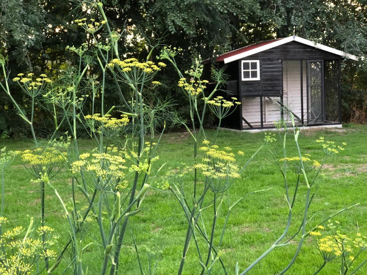 Het Leeuwterveld Bed and Breakfast Sint Jansklooster Eksteriør billede