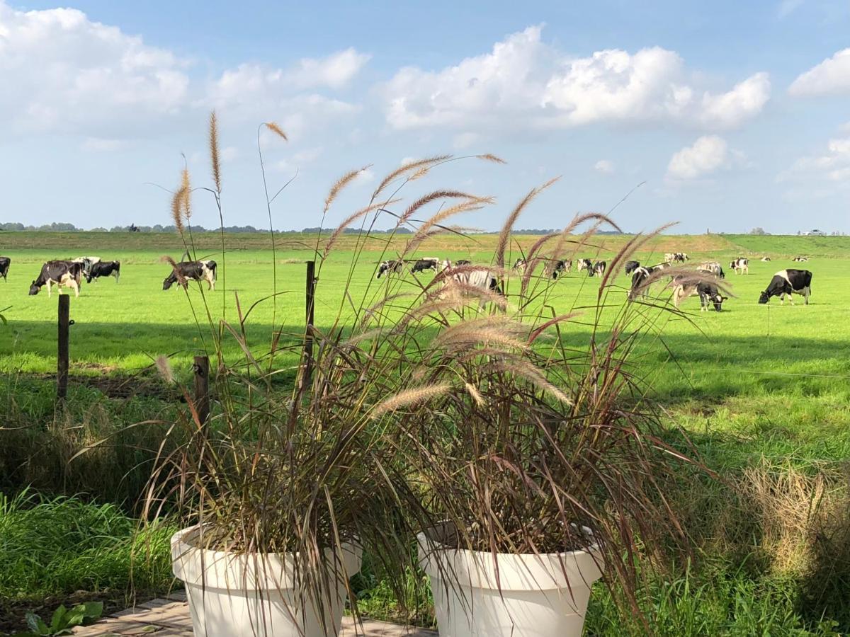 Het Leeuwterveld Bed and Breakfast Sint Jansklooster Eksteriør billede