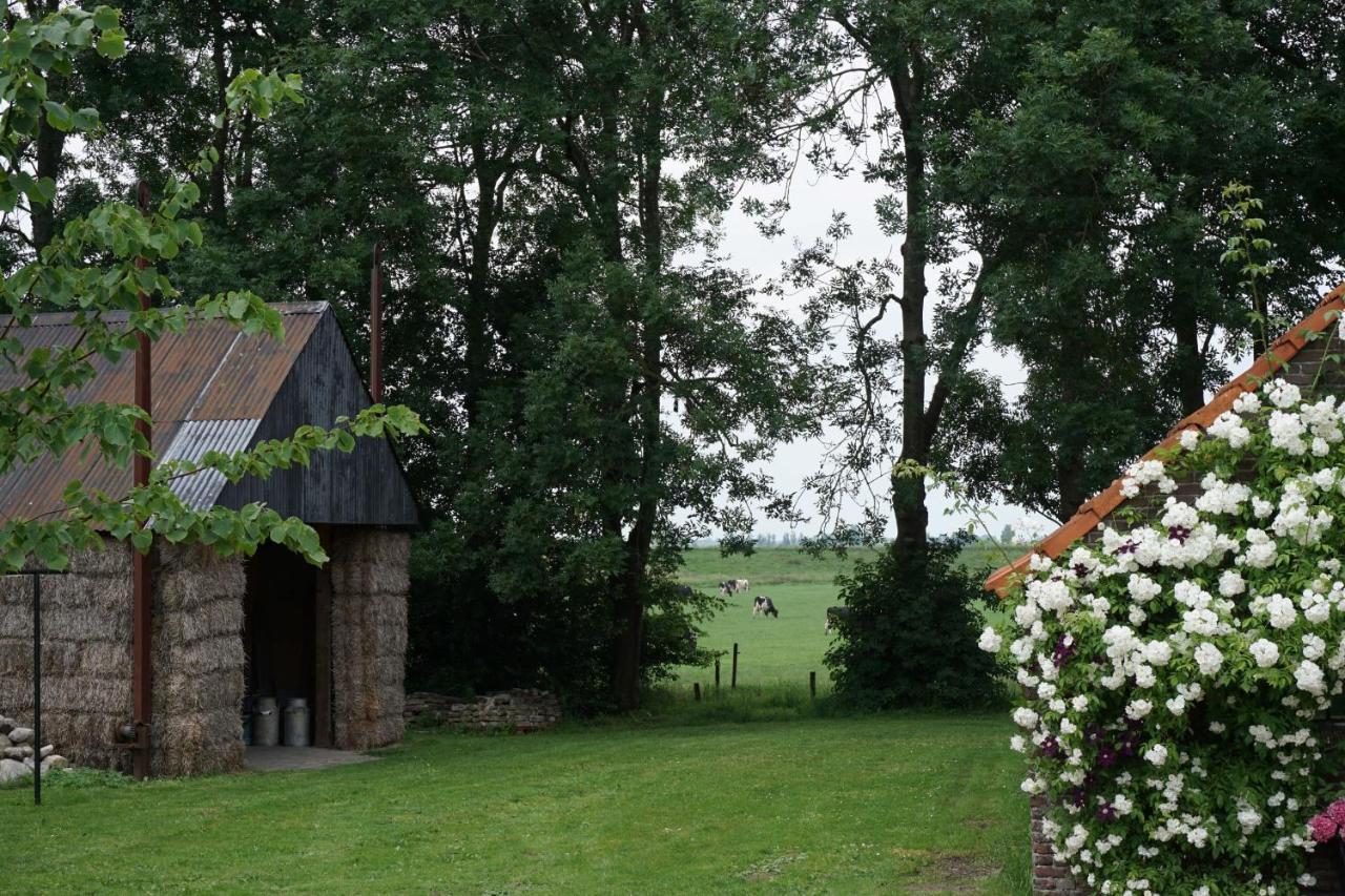 Het Leeuwterveld Bed and Breakfast Sint Jansklooster Eksteriør billede