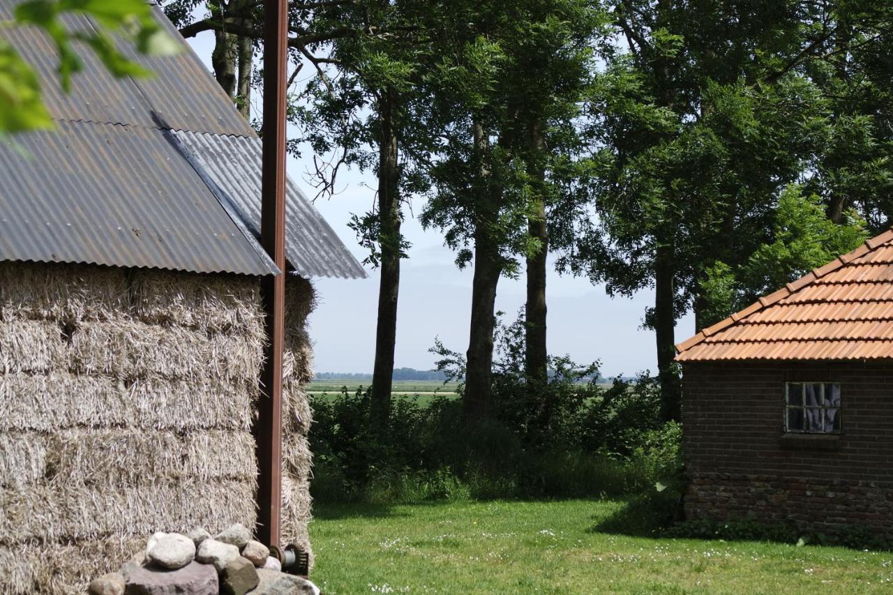 Het Leeuwterveld Bed and Breakfast Sint Jansklooster Eksteriør billede